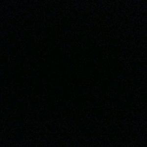 Meet your Posher, Shirley